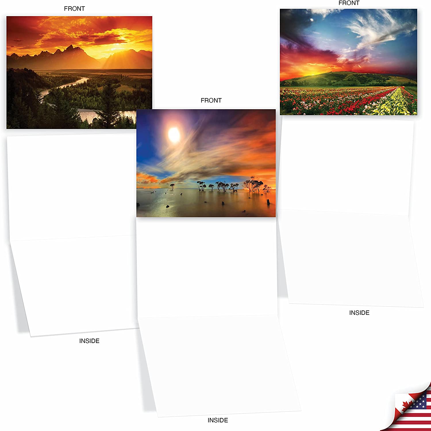 The Best Card Company - 20 Landscape Nature Note Cards Blank (4 x 5.12 Inch) (10 Designs, 2 Each) - Moonshine AM7169OCB-B2x10 - Image 5